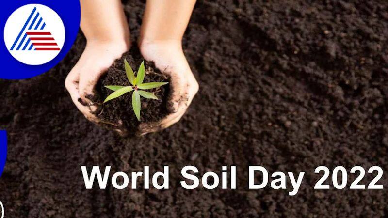 History Importance And Theme Of World Soil Day 2022 Vin