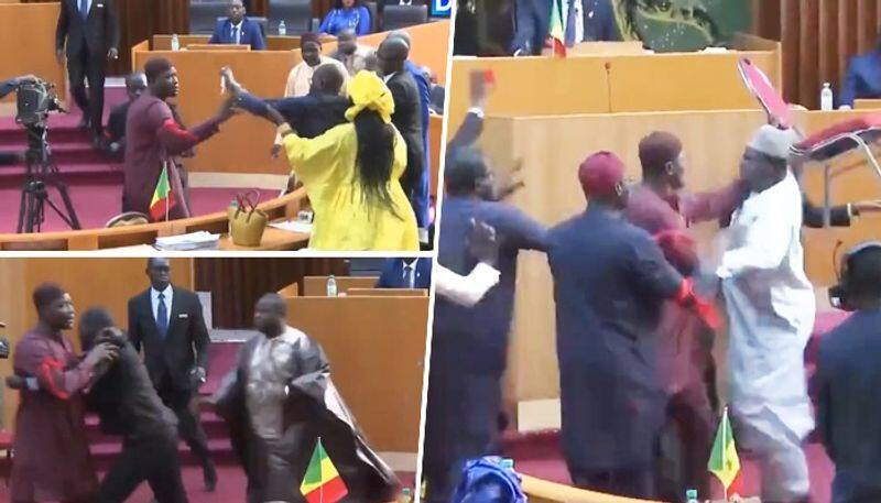 Senegal MP slaps female politician lawmakers exchange blows hurl chair watch gcw