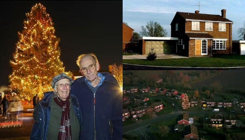 couple planted Christmas tree 44 years ago to mark their first christmas together now stands 50ft tall in front garden