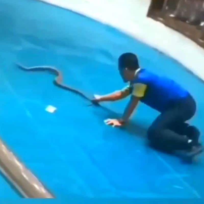 A video of a snake biting a young man private part went viral