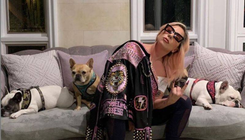 man who shot and wounded Lady Gaga's dog walker while stealing her French bulldogs   sentenced to 21 years in prison 