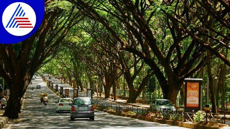 This Is Bangalore Road Once Upon Time, Can You Guess This Place Vin