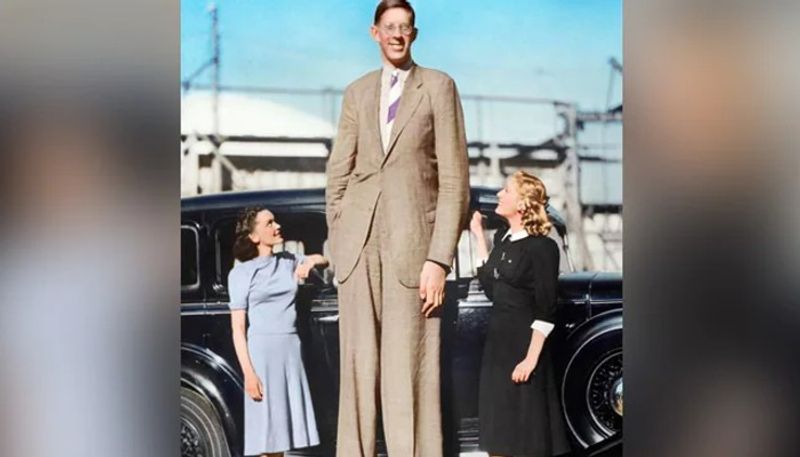 know about robert wadlow worlds tallest man ever 