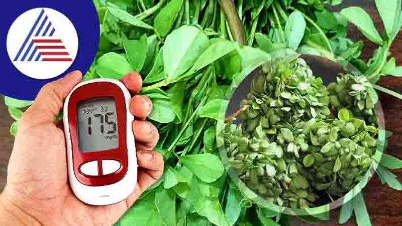 Benefits Of Fenugreek Leaves For Diabetes Patients 