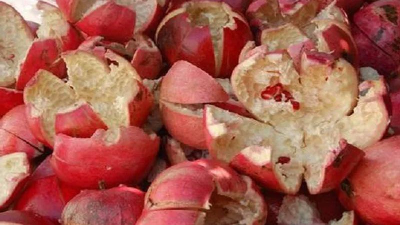 pomegranate peel can make healthy tea give benefits  your body