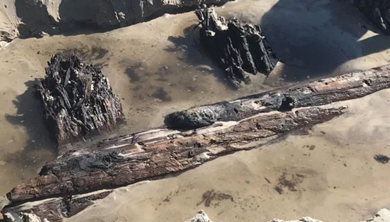 Mysterious 80 Foot Object Appears On A Beach In US, Officials Clueless