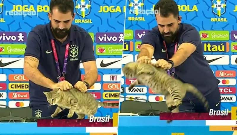 football Brazil press officer sparks outrage after manhandling cat at Qatar World Cup 2022 news conference before Croatia quarters snt