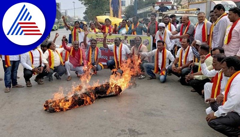 border dispute issue Take action against Marathi goons  rav