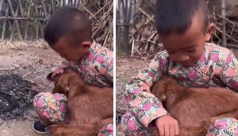 kid tries to warm baby goat in hard winter time the video goes viral 