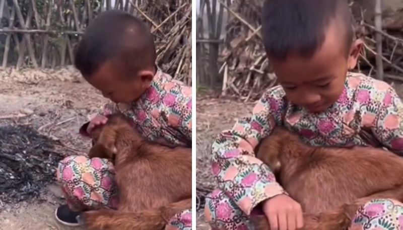 kid tries to warm baby goat in hard winter time the video goes viral 