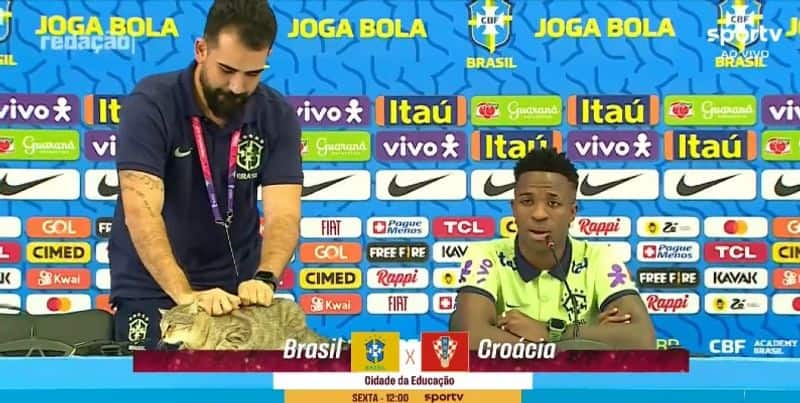 FIFA World CUp 2022: Brazil official throws a cat during Vinicius Jr press conference, Fans Shocked