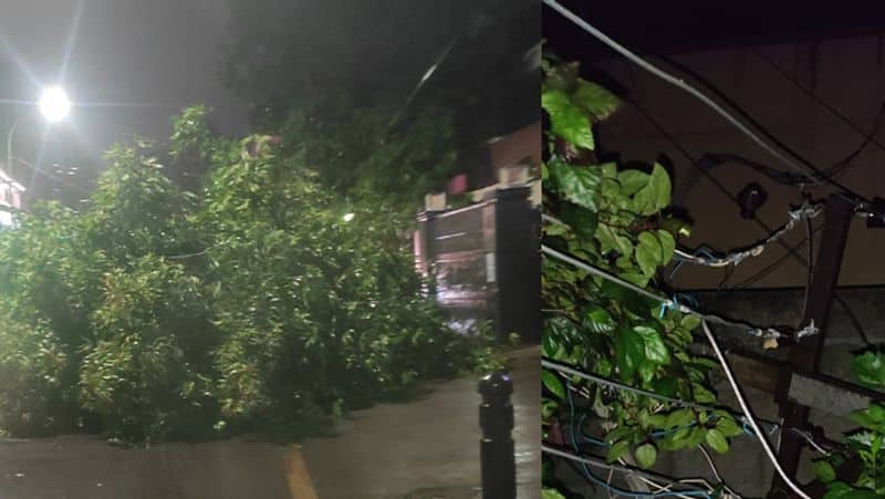 Rain with Thunderstorms graced many parts of Chennai and suburbs today - Live Video