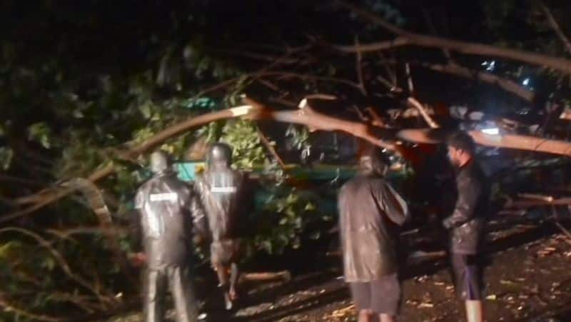 cyclonic storm mandous in Chennai.. trees fell.. Power outages