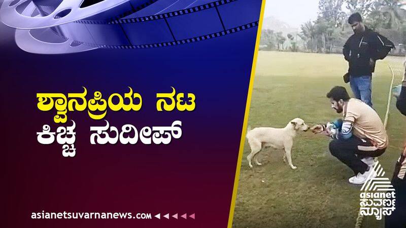 Actor Kiccha Sudeep showed love to the dog video viral suh