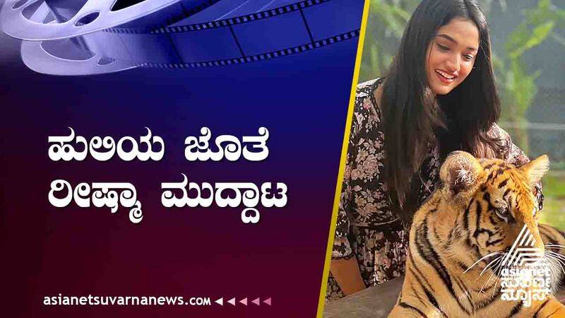 Kannada Actress Reeshma Nanaiah With Tiger In Bangkok suh