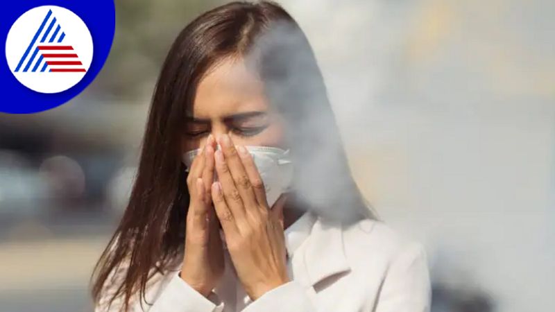 Winter Smog Can Be Harmful For Your Lungs, How to Stay Protected Vin