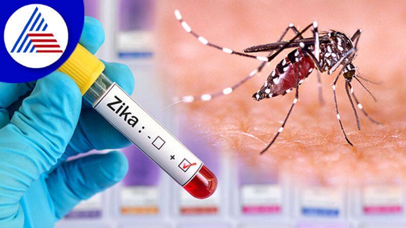 In 1st Zika Virus Case in Karnataka,Here Is What You Need To Know Vin