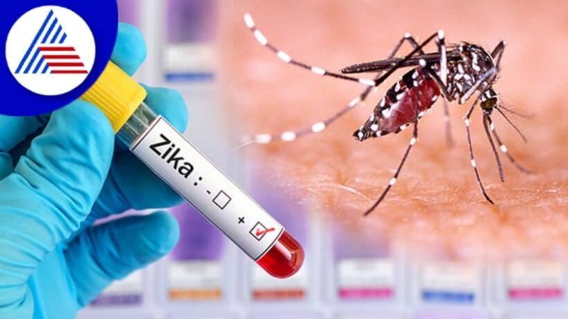 Zika Virus: కర్ణాటకలో జికా వైరస్ కలకలం.. ఎలా వ్యాపిస్తుందో తెలుసా..?