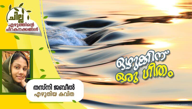 chilla malayalam poem by Thasni jabeel 