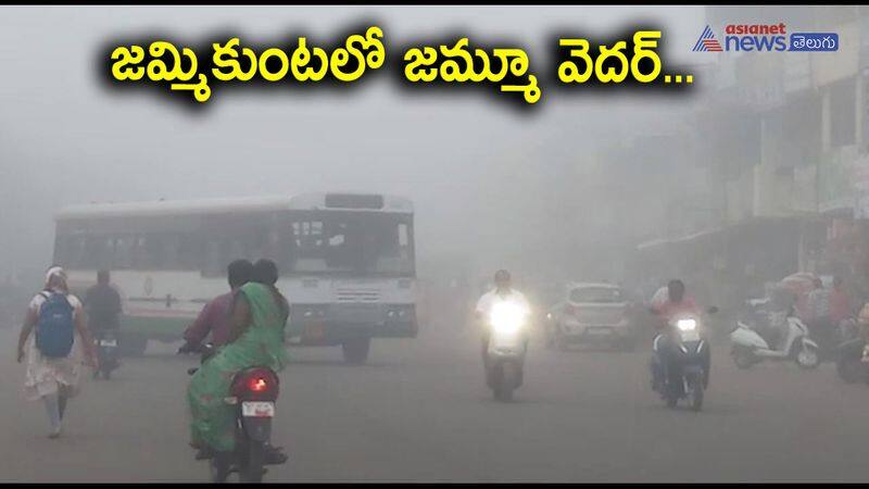 Dense Fog At Jammikunta Karimnagar District 