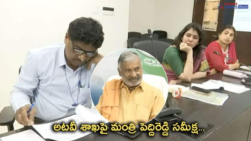 Minister Peddireddy Ramachandra Reddy Review Meeting on Forest Department 