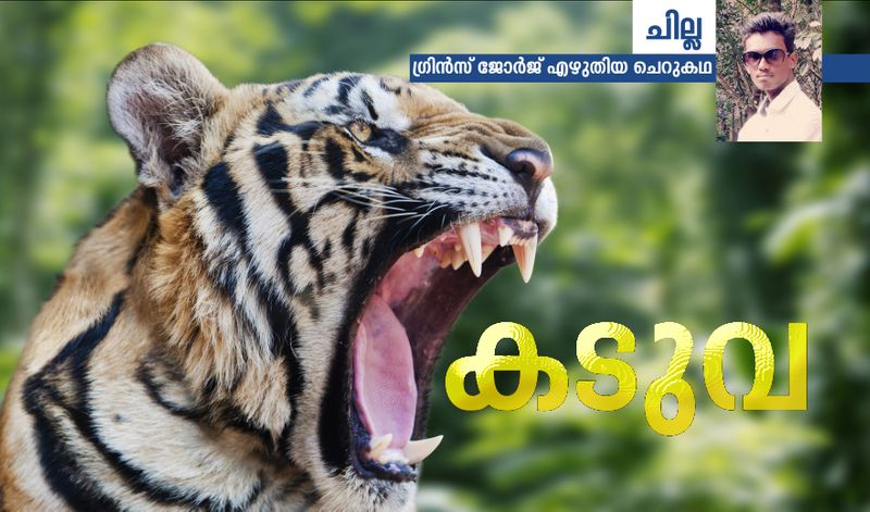 chilla malayalam  short story by Grince George 