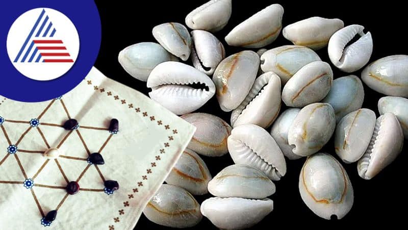 Cowrie Astrology Remedies For Money