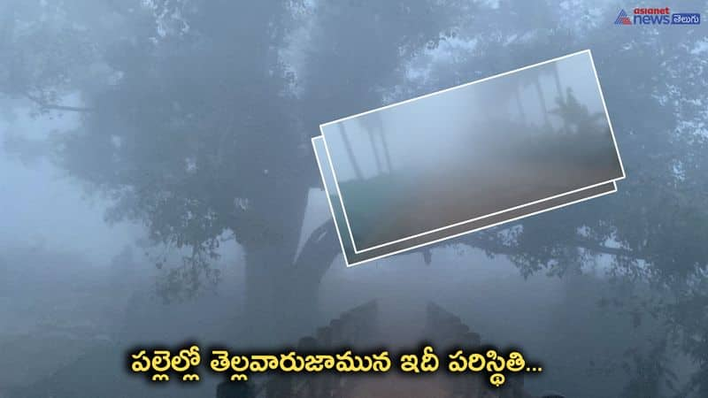 Heavy fog on morning time in Telugu States 