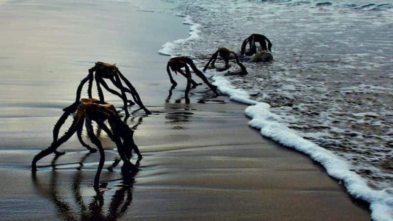 War of the Worlds aliens crawling out of ocean spark panic among beachgoers 