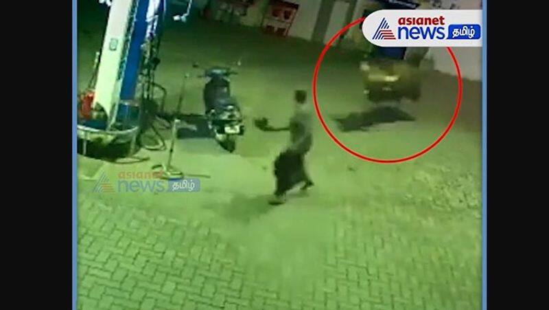 The wildebeest bull entered the petrol bunk with aggression at gudalur 