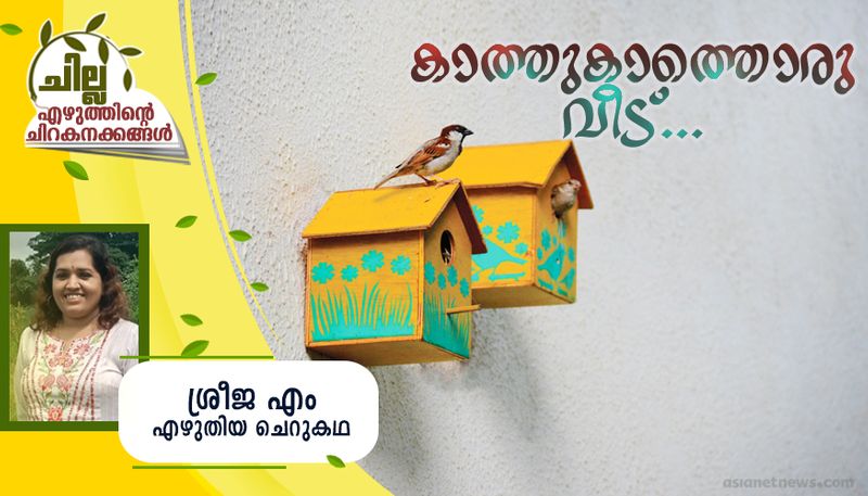 chilla malayalam short story by Sreeja M