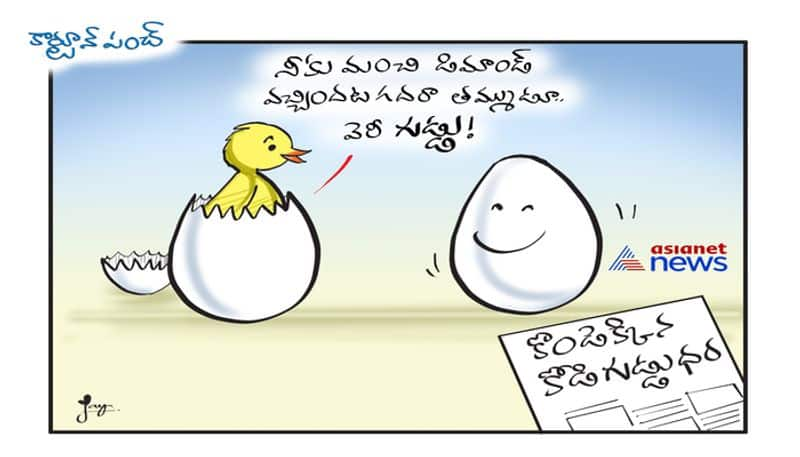 cartoon punch on Eggs price turn to dear