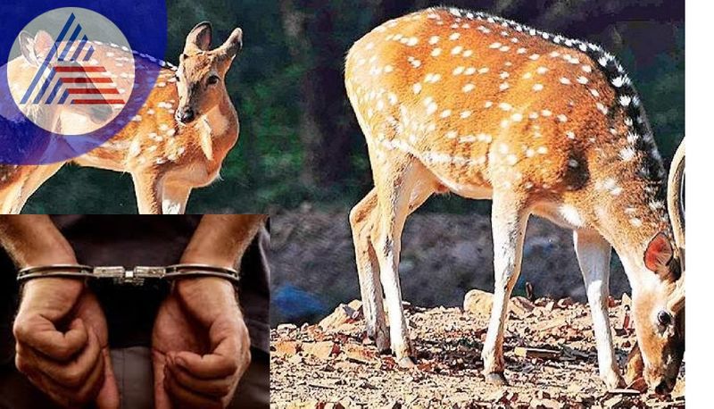 Tragedy happened when the deer hunters ran after the farmers sat