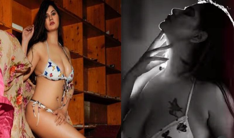VIDEO:XXX Star आभा पॉल ने बिकिनी में किया ...