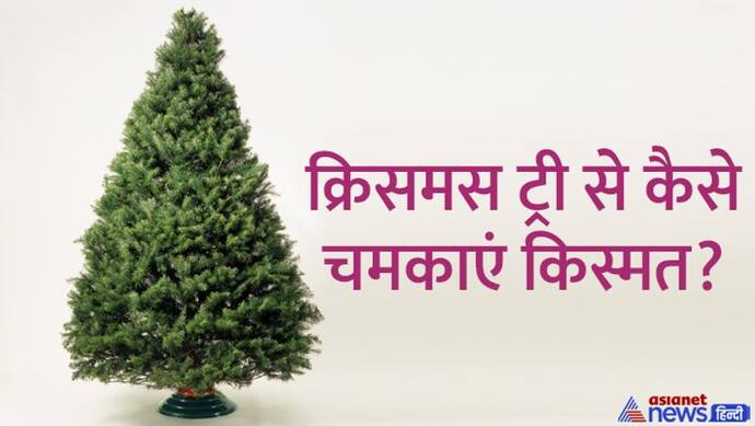 Christmas Tree Tips: क्रिसमस ट्री से भी बढ़ सकता है आपका गुड लक, इन बातों का रखें ध्यान