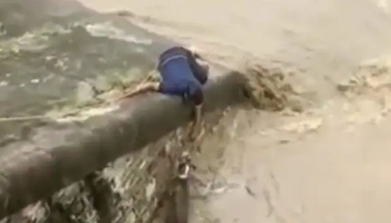 man saves dog that stuck near a dam