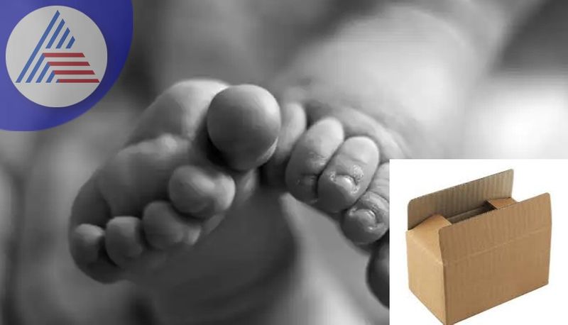 Newborn baby boy was found in a cardboard box on the Siddapur roadside sat