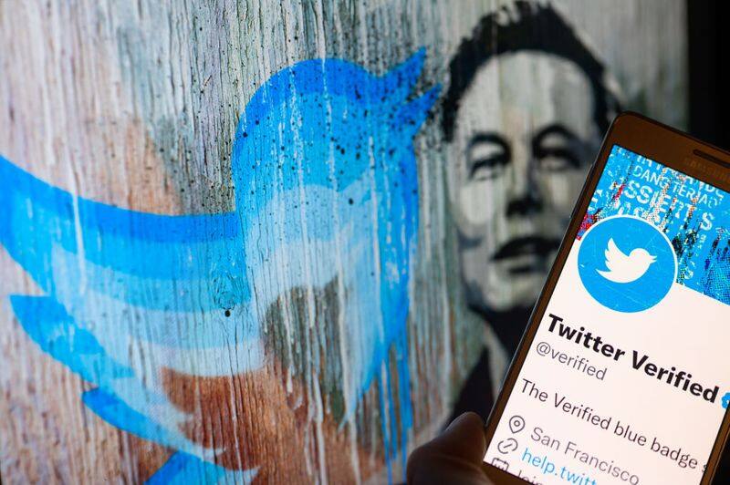 Only Twitter Blue users will be allowed to vote in future says Elon Musk after losing poll gcw