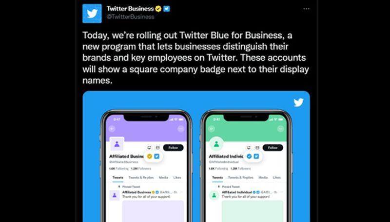 Twitter introduces Blue For Business with square badges grey tick for govt accounts gcw