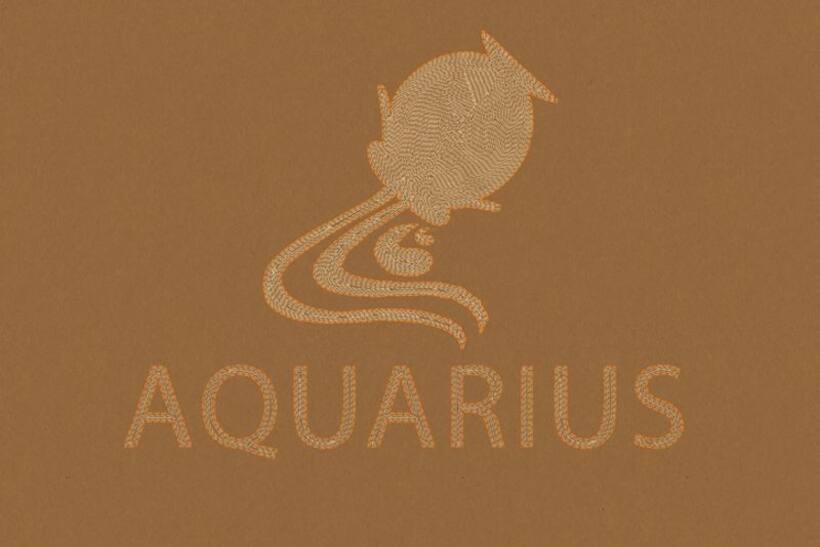 2023 Zodiac Prediction: Aquarius should be cautious, difficult year ahead