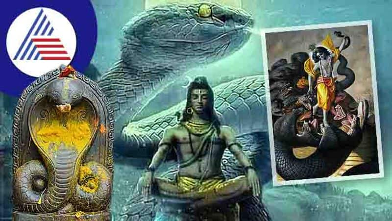 Five powerful snakes of Hinduism skr