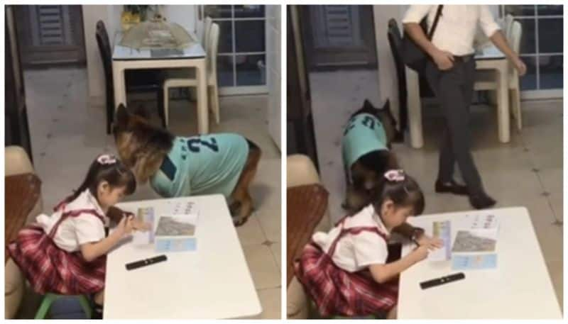 viral video of small girl and her pet dog 