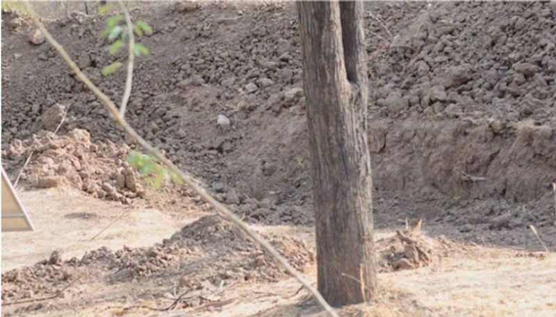 Internet Has Been Racking Its Brains In Trying To Find The Hidden Leopard In This Photo