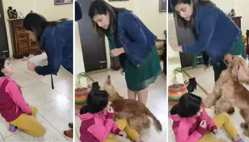 pet dogs love to its owner the video goes viral 