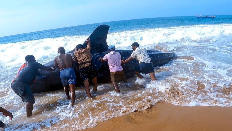 Six Fishermen Found in Visakhapatnam District lns