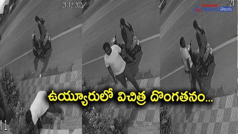 Flower plants robbery in Uyyuru town 