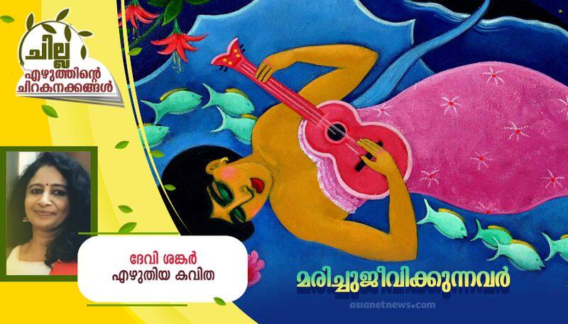 chilla malayalam poem by Devi Sankar