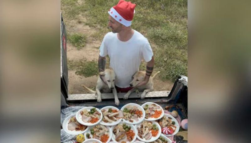 Man Prepares Christmas Meal And Gifts For The Stray Dogs In Thailand