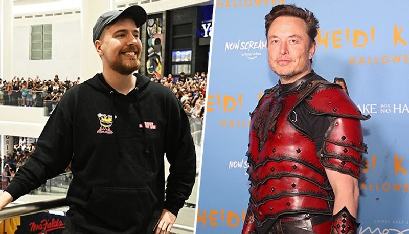 Famous YouTuber Mr Beast asks if he can be the new Twitter CEO Elon Musk responds gcw