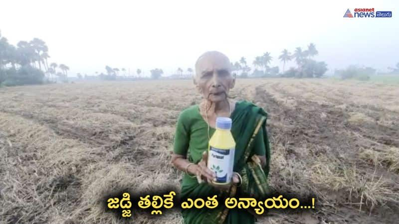 Old woman protest in pedana Krishna Dist